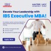 Executive MBA for Working Professionals | Top EMBA from IBS Hyderabad